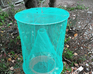 外围设立防蝇设施