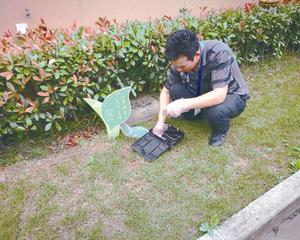 检查鼠饵站饵料拖食情况